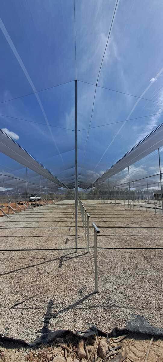 construccion-emparrados-entutorados-invernaderos-viveros-alicante-valencia-murcia-almeria-invernaderos-inversistemas-daniel-3