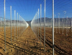 construccion-invernadero-raspa-amagado-alicante-valencia-murcia-almeria-inveristemas-daniel-precio-presupuesto (1)