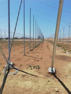 construccion-invernadero-raspa-amagado-alicante-valencia-murcia-almeria-inveristemas-daniel-precio-presupuesto (3)