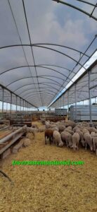 construccion-nave-agricola-ganadera-industrial-alicante-valencia-murcia-almeria-invernaderos-inversistemas-daniel-3