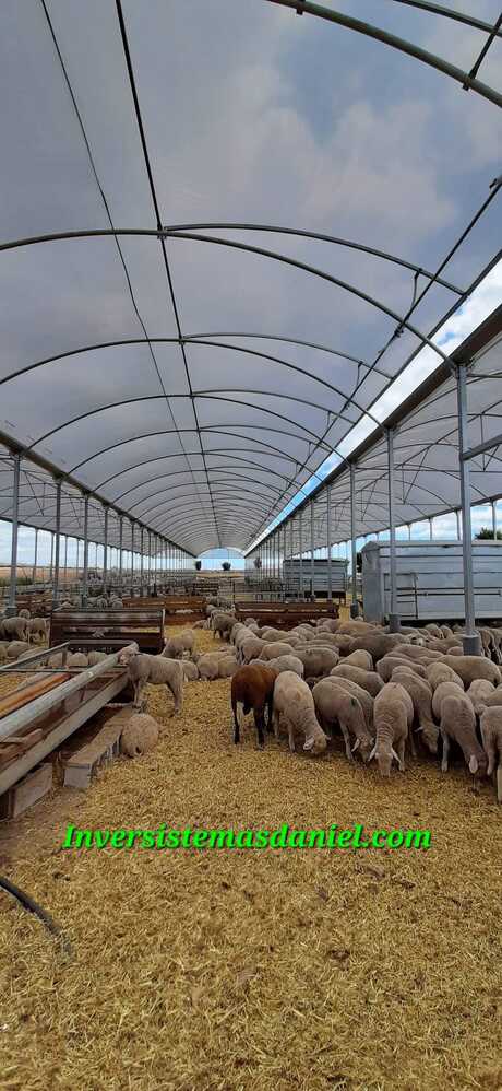 construccion-nave-agricola-ganadera-industrial-alicante-valencia-murcia-almeria-invernaderos-inversistemas-daniel-3