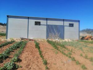 construccion-nave-agricola-industrial-alicante-valencia-murcia-almeria-invernaderos-inversistemas-daniel-1