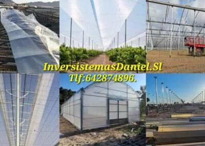 invernadero-multitunel-gtico-romano-plastico (1)