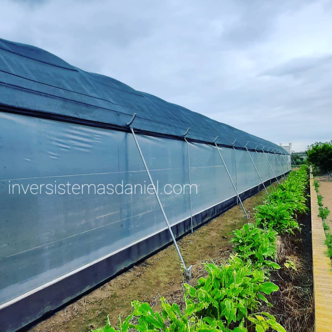 construccion-invernaderos-pitaya-fruta-dragon-inversistemas-daniel-valencia-murcia-alicante-almeria-malaga-castellon-05