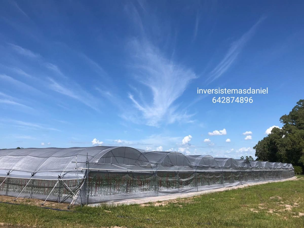construccion-invernaderos-pitaya-fruta-dragon-inversistemas-daniel-valencia-murcia-alicante-almeria-malaga-castellon-07-min