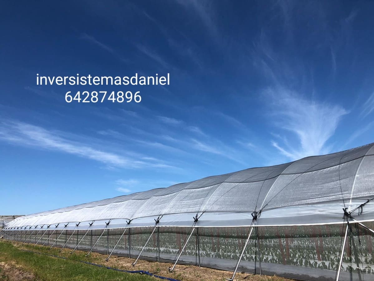 construccion-invernaderos-pitaya-fruta-dragon-inversistemas-daniel-valencia-murcia-alicante-almeria-malaga-castellon-08-min