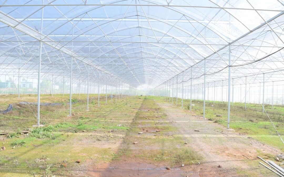 mantenimiento-de-invernaderos-inversistemas-daniel-mallas-plasticos-precio-metro