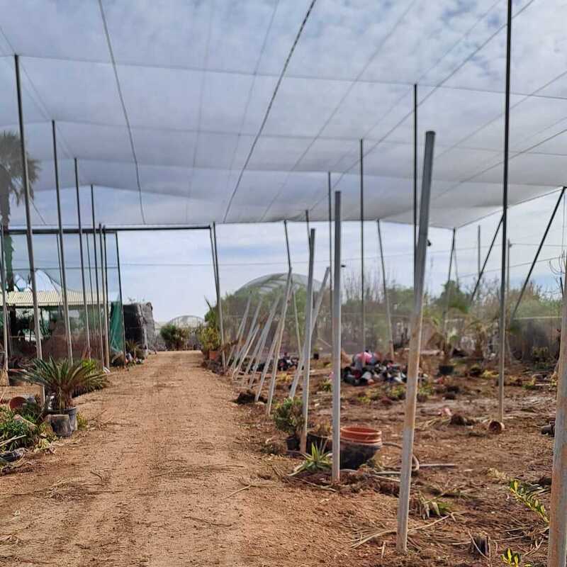 ayudas-directas-agricultores-dana-invernaderos-reparacion-inversitemas-daniel-02
