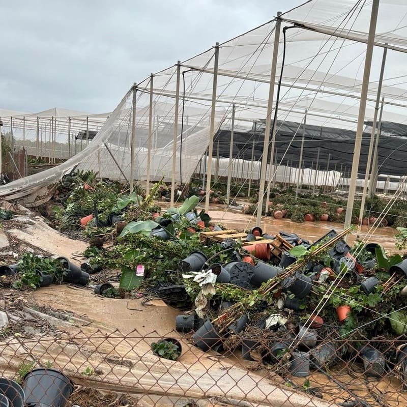 subvencion-invernaderos-dana-agricultores-reparacion-inversitemas-daniel-ayuda-directa-07