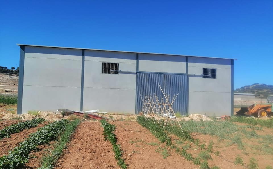 construccion-nave-industrial-agricola-ganadera-inversistemas-daniel (6)