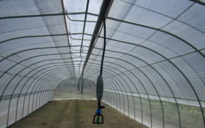 Instalación de cabezales de riego: eficiencia y ahorro para tu finca o vivero