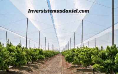 Invernaderos zig-zag: protección eficaz contra aves y granizo