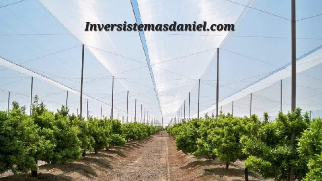 invernaderos-zig-zag-anti-aves-granizo-construccion-invesistemas-daniel-presupuesto (2)