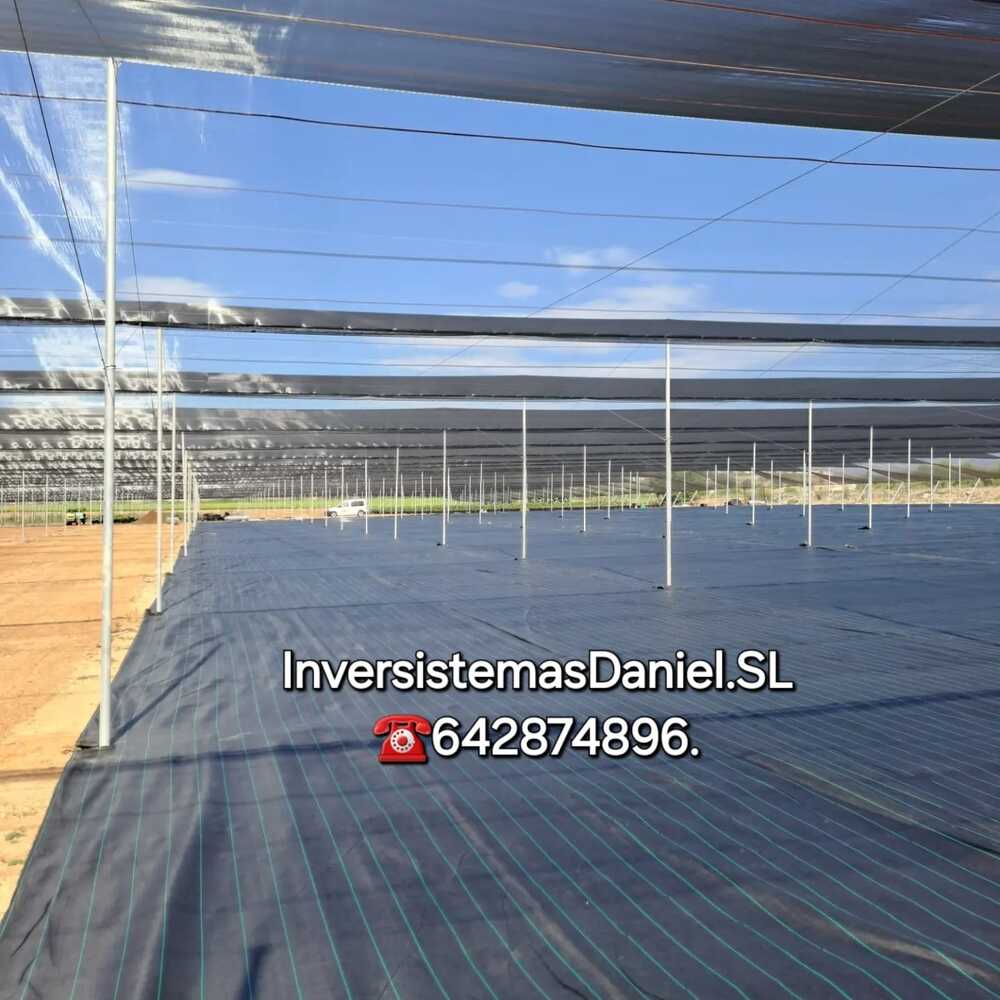 invernaderos-zig-zag-anti-aves-granizo-construccion-invesistemas-daniel-presupuesto (24)