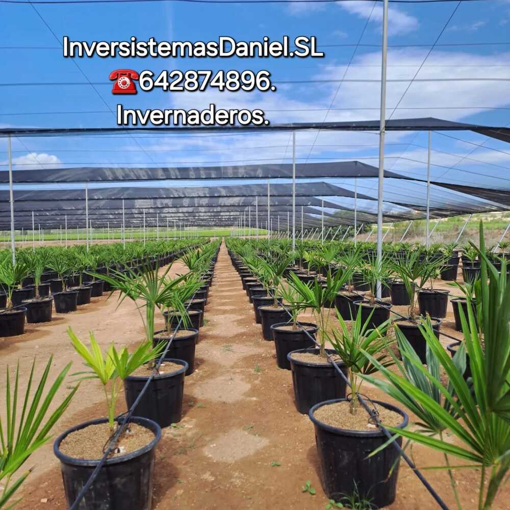 invernaderos-zig-zag-anti-aves-granizo-construccion-invesistemas-daniel-presupuesto (25)