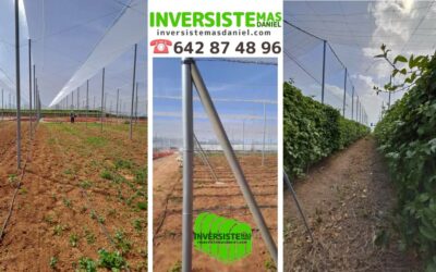 Entutorado para invernaderos de maracuyá: estructura, resistencia y producción al máximo