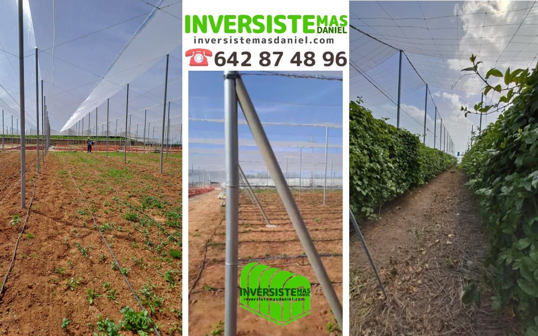 entutorado-invernadero-maracuya-tomate-pepino-valencia-alicante-castellon-murcia-inversistemas-daniel