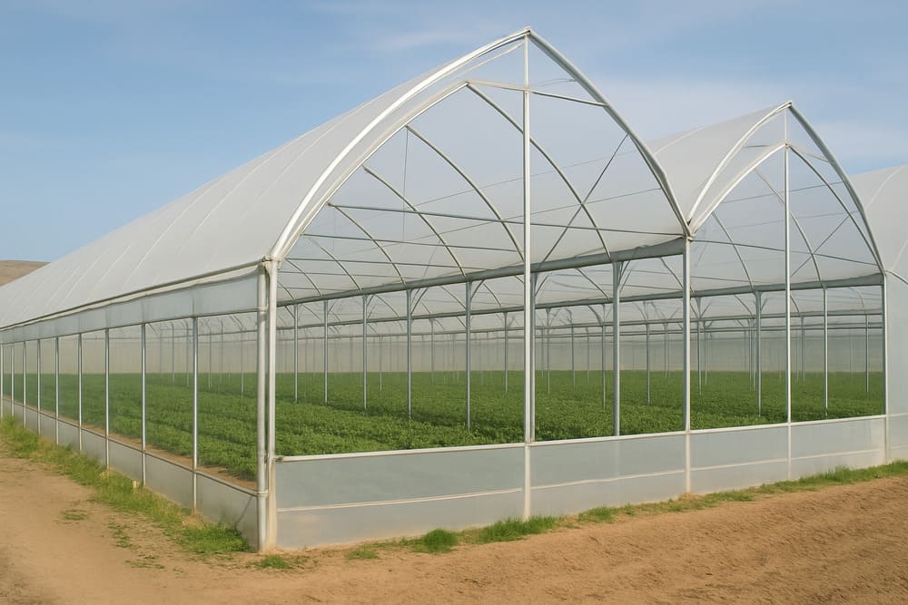 construccion-invernadero-produccion-agricola-inversistemas-daniel-alicante-murcia-valencia-almeria- (6) tipos-invernadero-gotico-presupuesto-precio-inversistemas-daniel