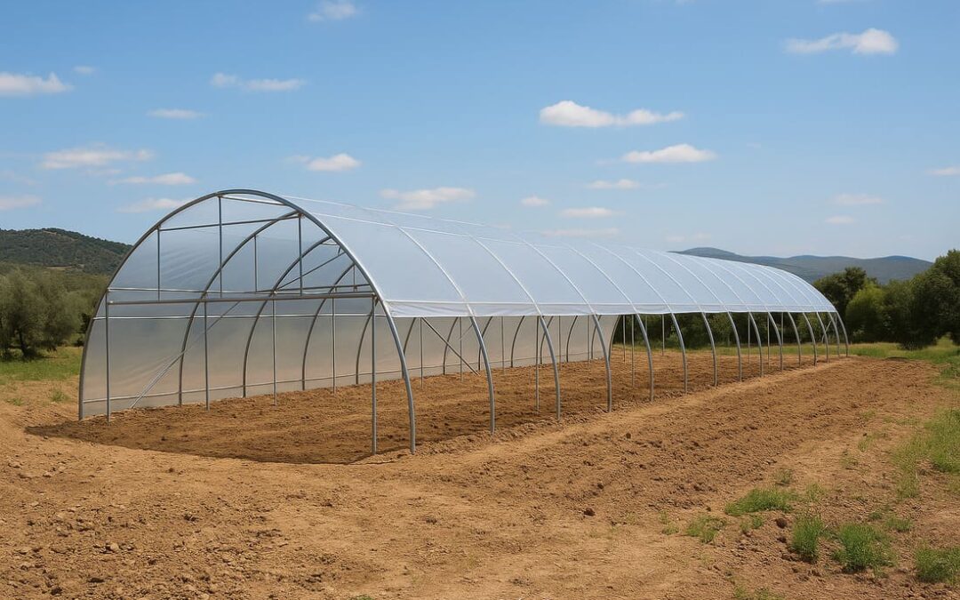 5-preguntas-clave-construccion-invernadero-inversistemas-daniel-valencia-alicante-almeria-murica