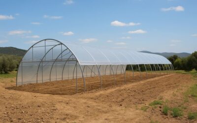 5 preguntas clave para la construcción de un invernadero