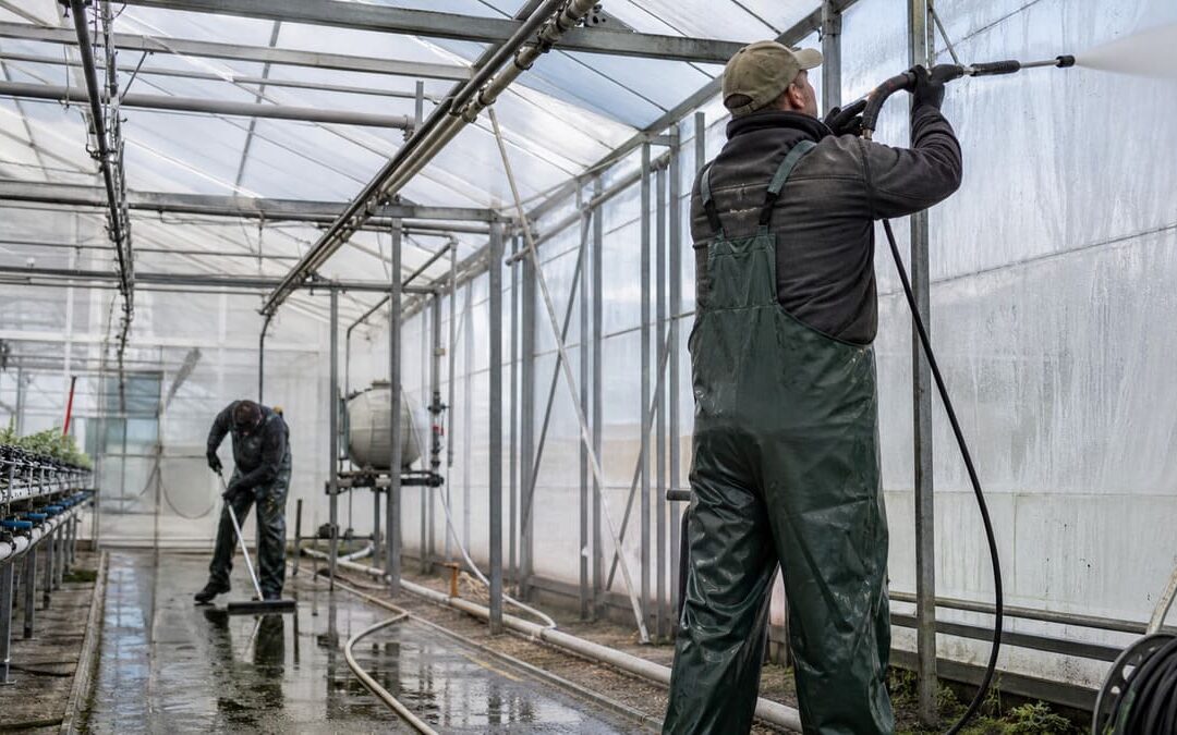 limpieza-de-invernaderos-profesional-valencia-alicante-murcia-castellon-inversistemas-daniel-0