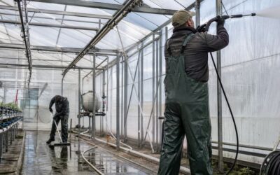 Limpieza profesional de invernaderos: más que una manguera