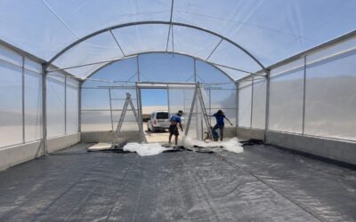 Cubiertas de invernadero después del verano: señales de que necesitan reparación o sustitución