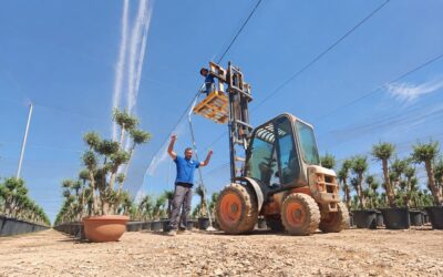 Estamos de vuelta con nuevos proyectos de invernaderos